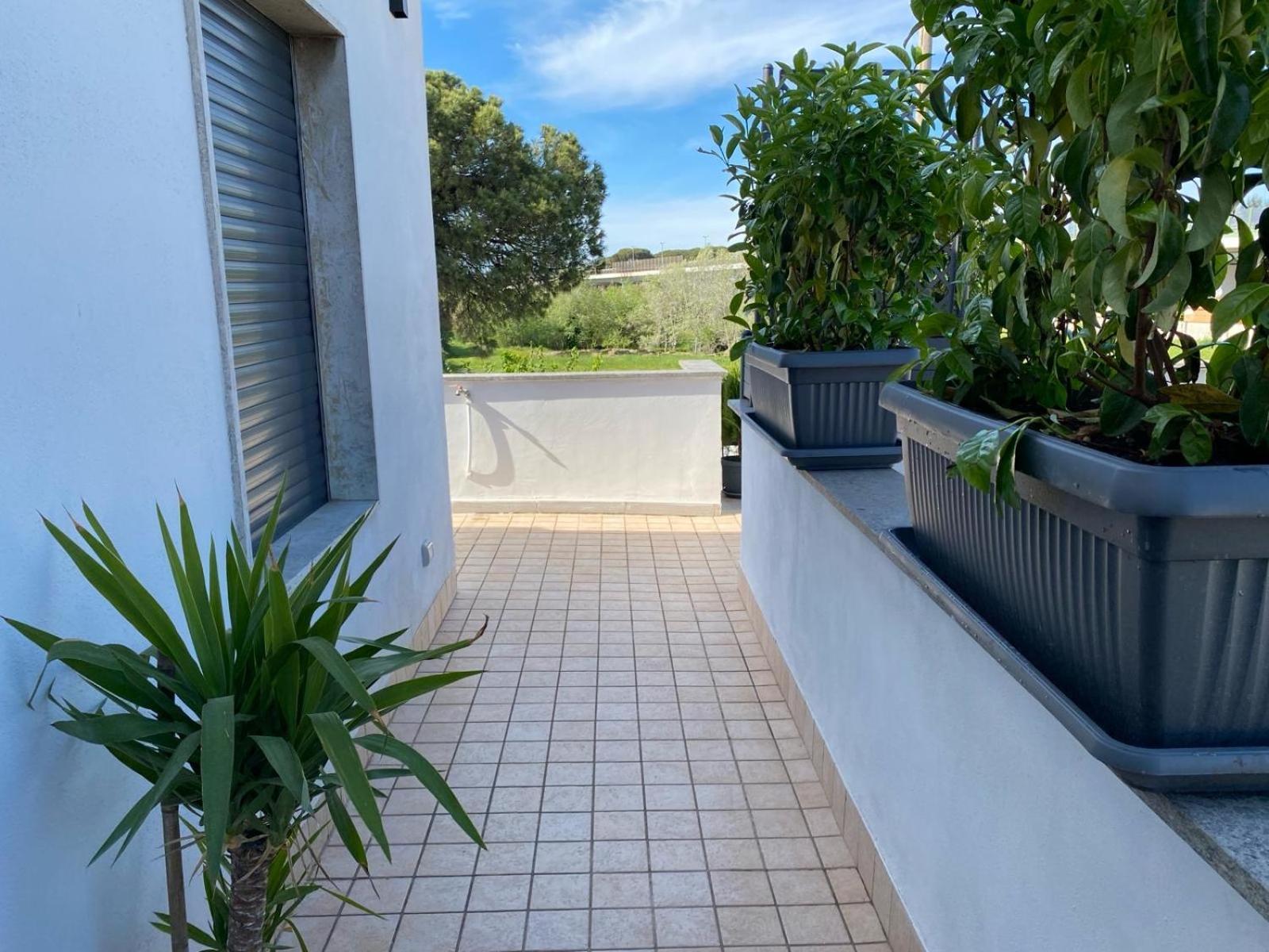 Apartmán Fcoairporthouse Fiumicino Exteriér fotografie